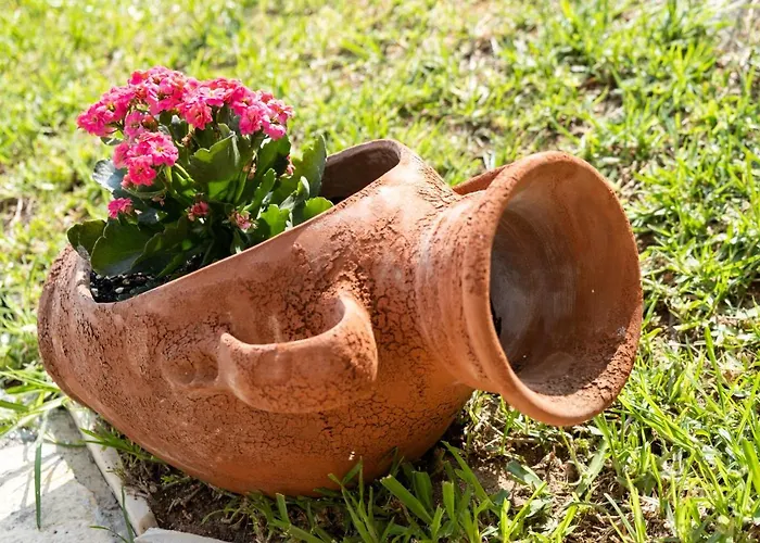 Nikoleta A *