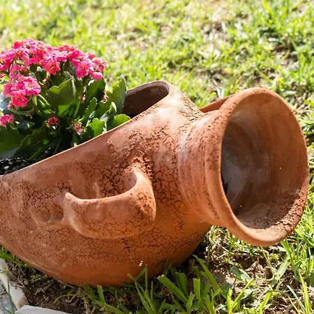 Nikoleta A *